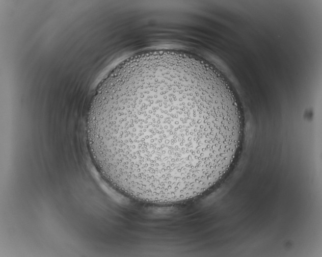 X0000112791425200909181503