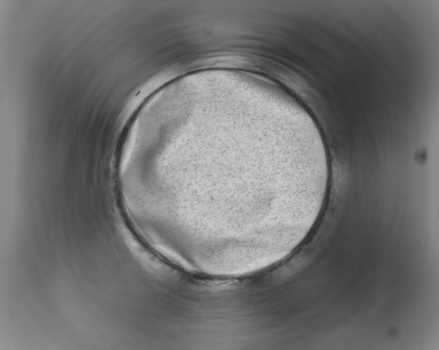 X0000112791426200909181504