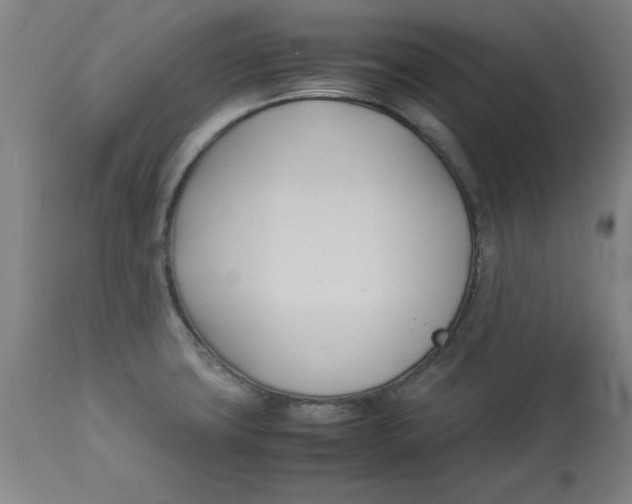 X0000112791427200909181504