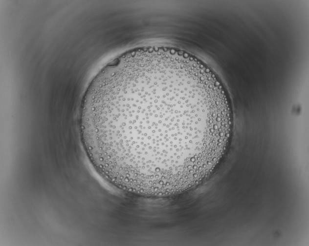 X0000112791429200909181504