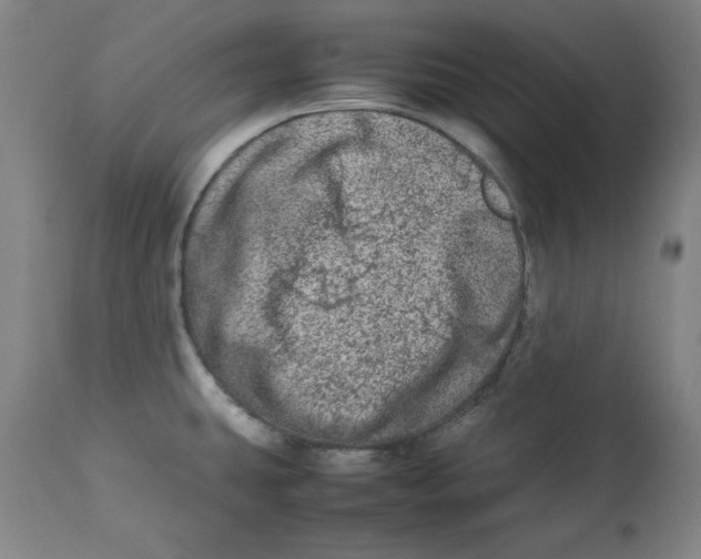 X0000112791431200909181504