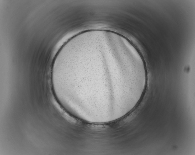 X0000112791432200909181504