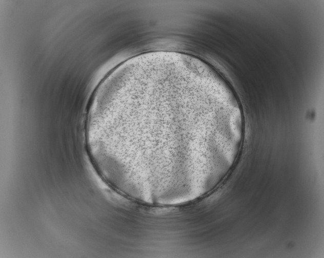 X0000112791434200909181504