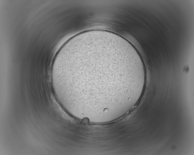 X0000112791436200909181504