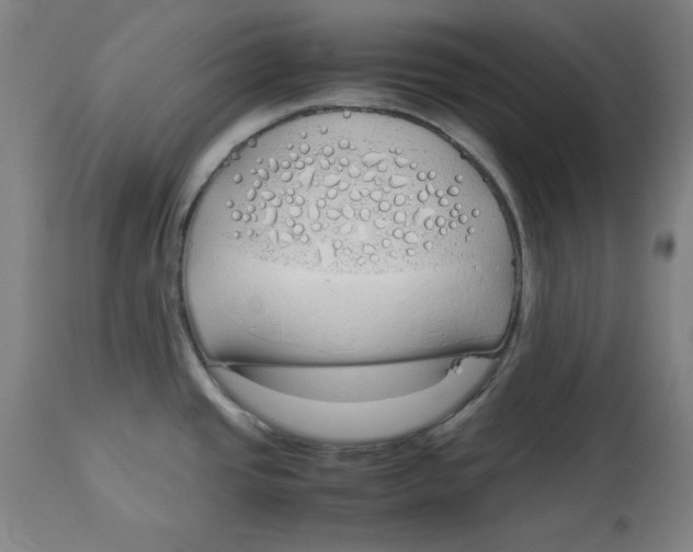 X0000112791437200909181504