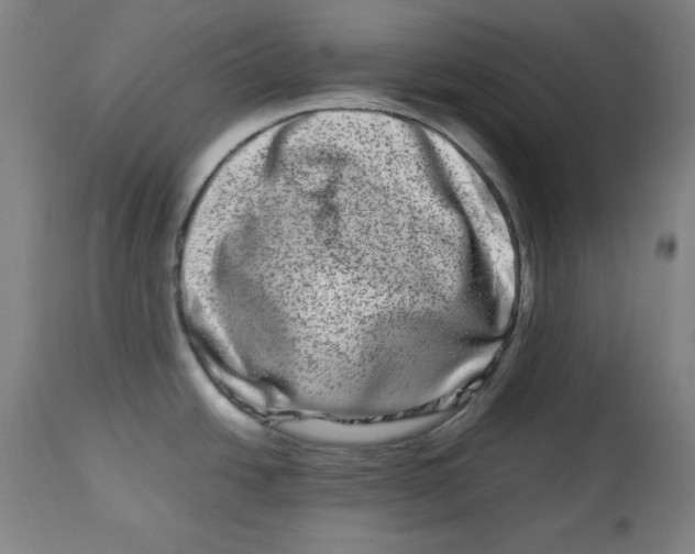 X0000112791438200909181504