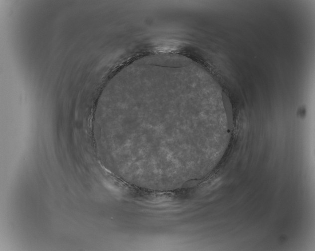 X0000112791441200909181503