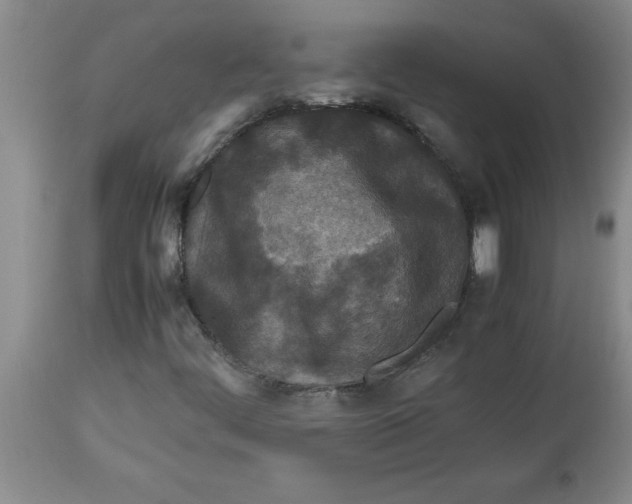 X0000112791444200909181503