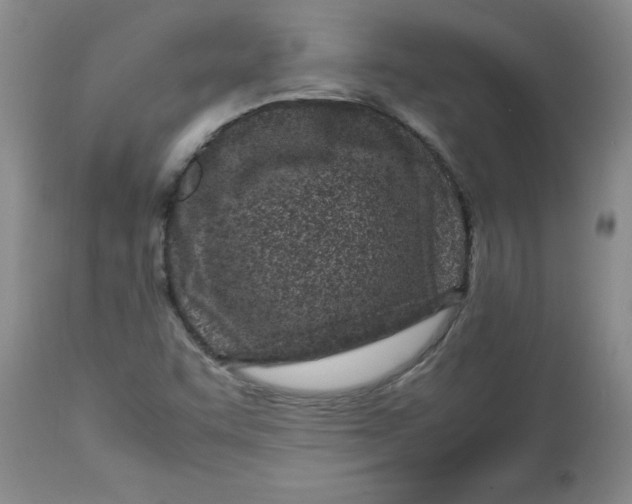 X0000112791455200909181503