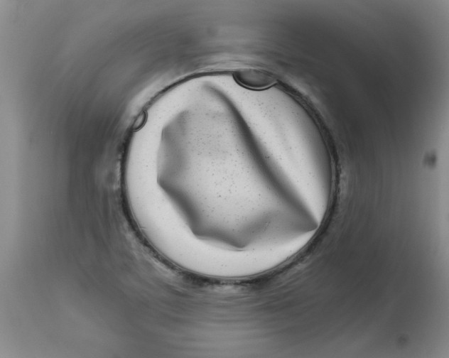 X0000112791459200909181503