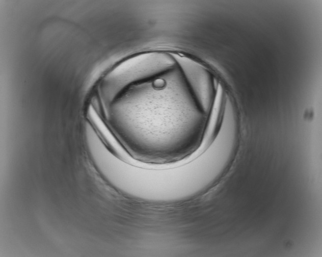 X0000112791461200909181503