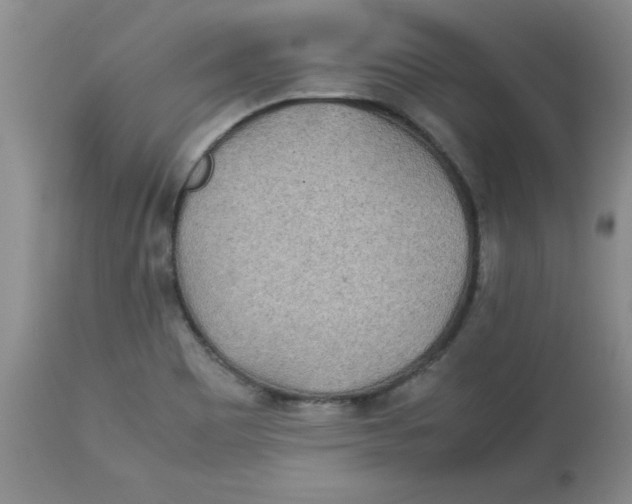 X0000112791465200909181503