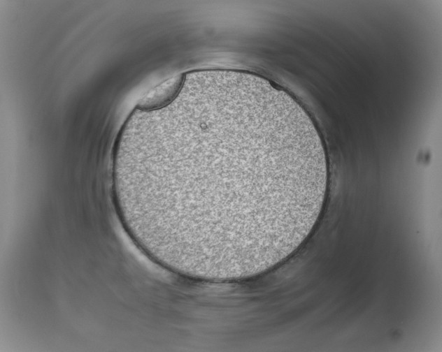 X0000112791479200909181503