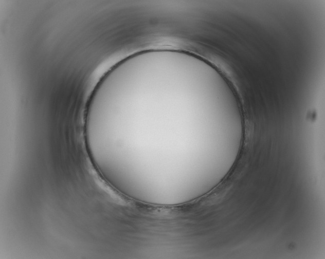 X0000112791480200909181503