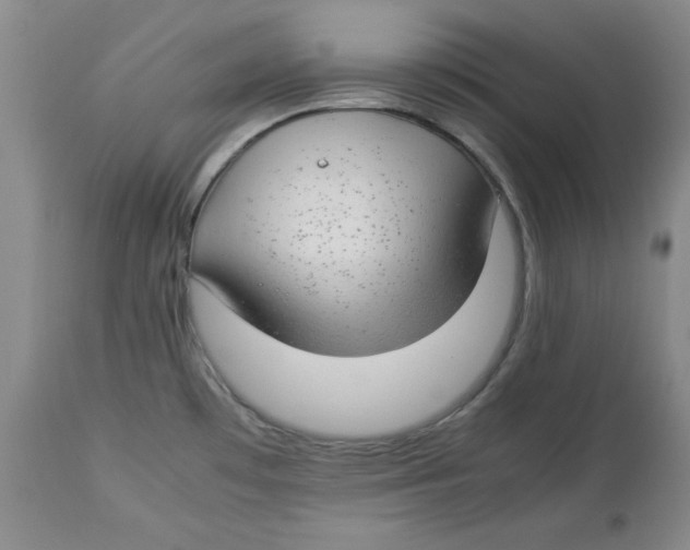 X0000112791481200909181502