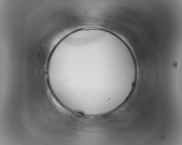 X0000112791485200909181502