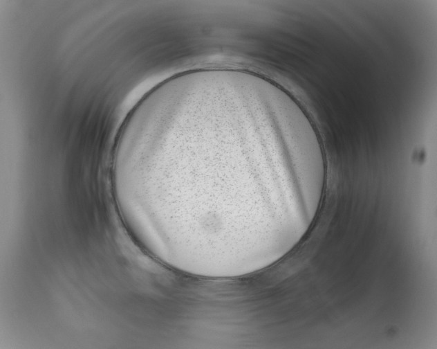 X0000112791486200909181502