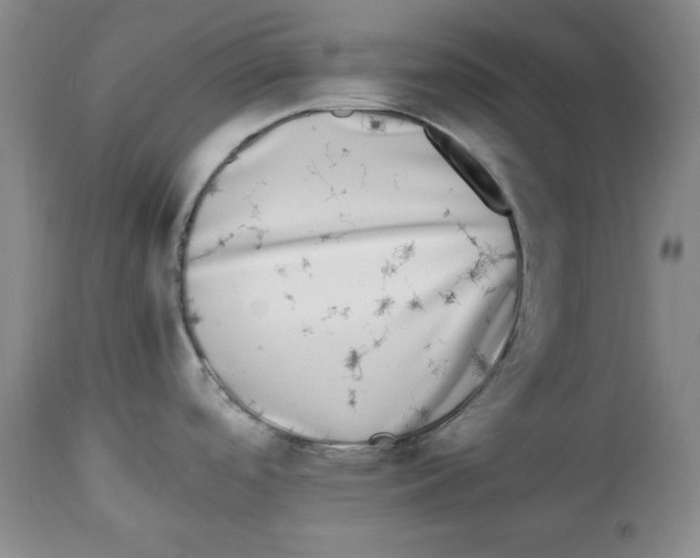 X0000112791488200909181502