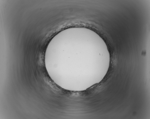 X0000112791490200909181501