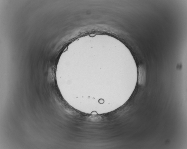 X0000112791491200909181501