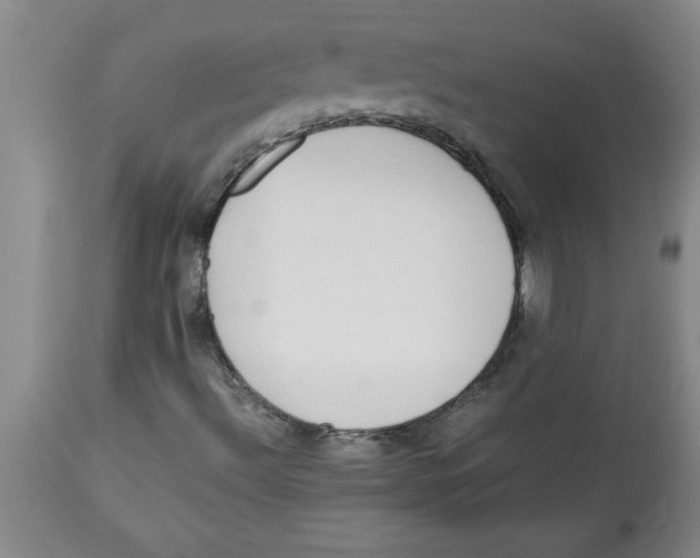 X0000112791492200909181501