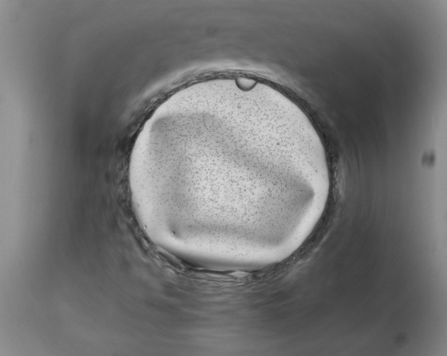 X0000112791494200909181501