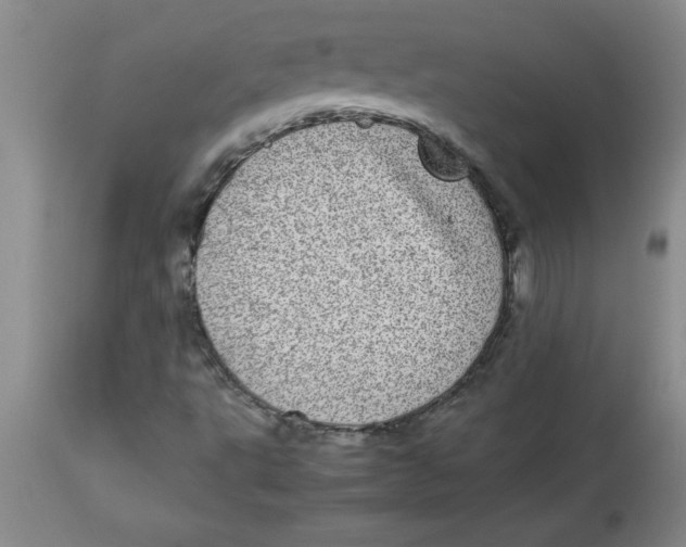 X0000112791495200909181501