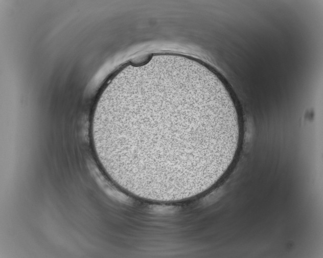 X0000112791499200909181502