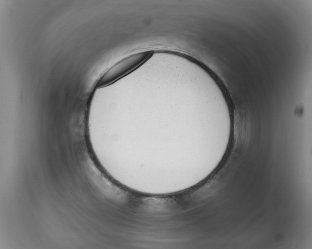 X0000112791500200909181502