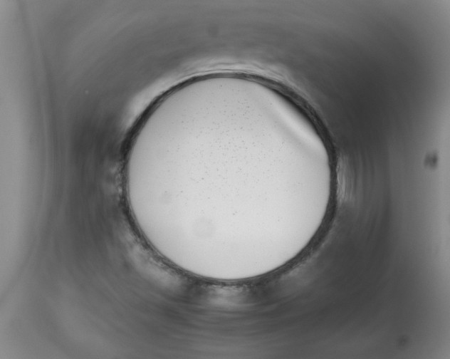 X0000112791501200909181502