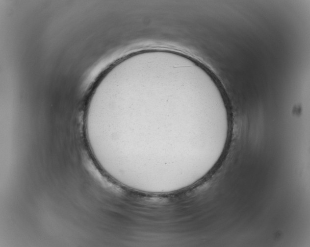 X0000112791503200909181502