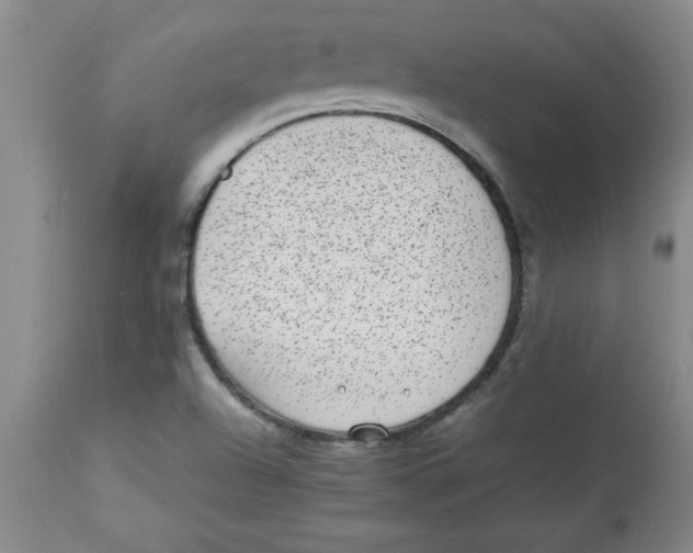 X0000112791504200909181502