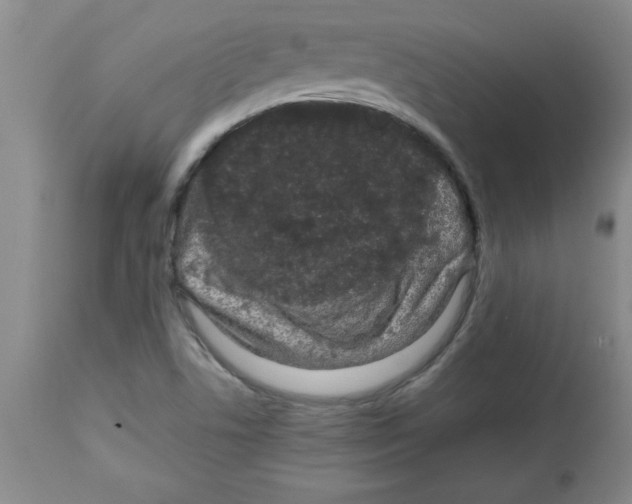 X0000112791506200909181502