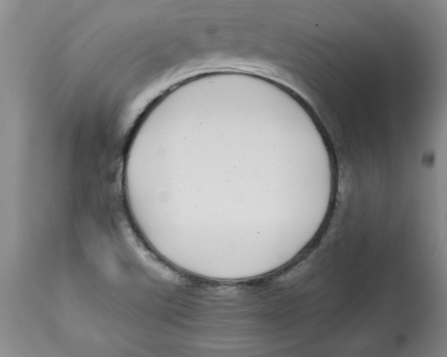 X0000112791507200909181502