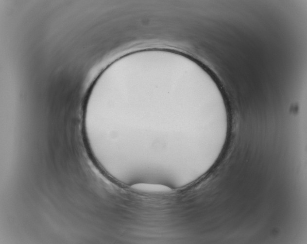 X0000112791508200909181502