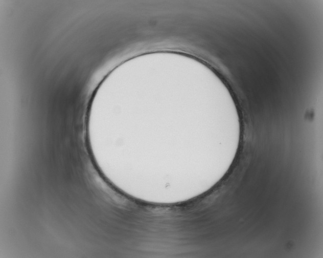 X0000112791512200909181502