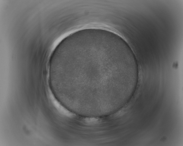 X0000112791515200909181502