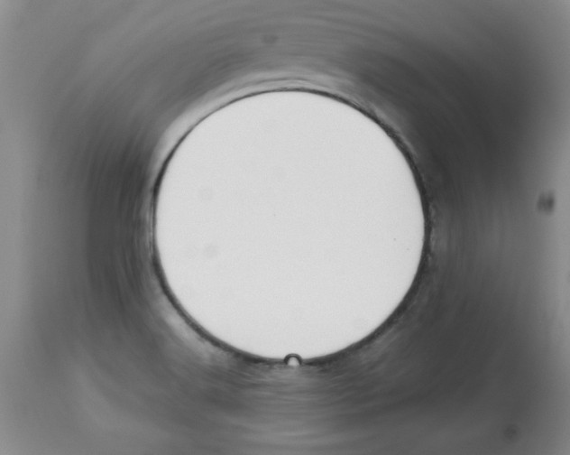 X0000112791516200909181502