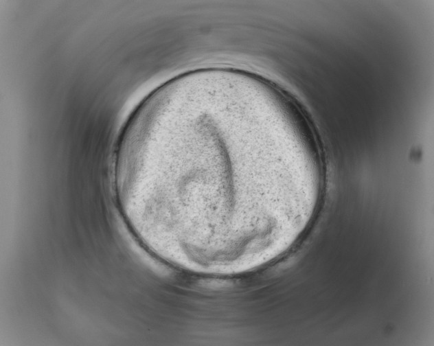 X0000112791517200909181502