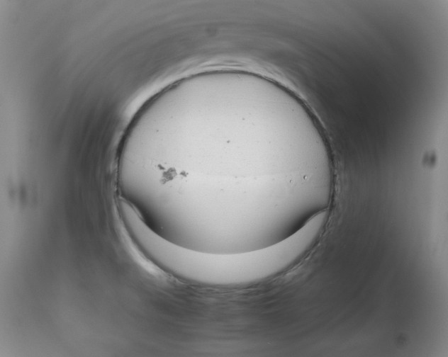 X0000112791519200909181502