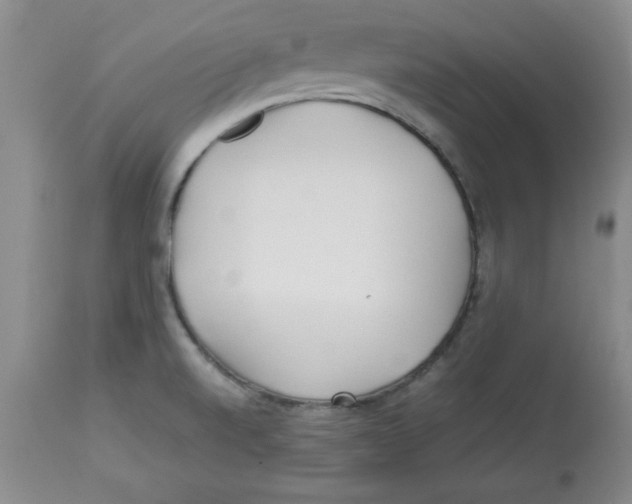 X0000112791520200909181502