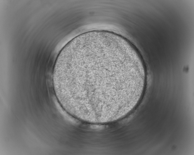 X0000112791521200909181502
