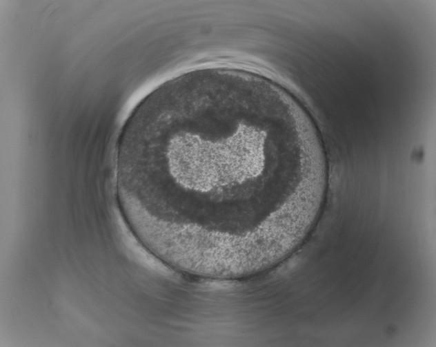 X0000112791522200909181502