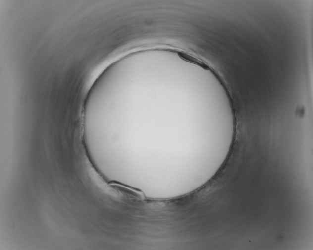 X0000112791524200909181502