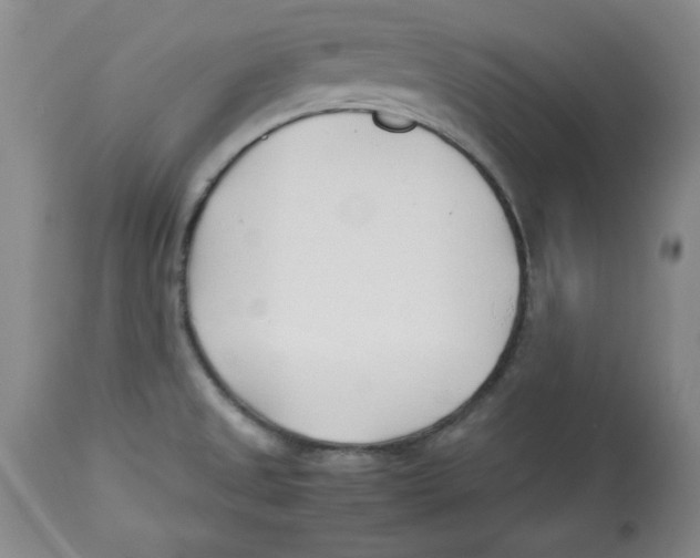 X0000112791525200909181502