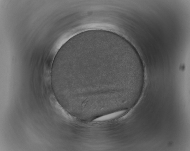 X0000112791529200909181502