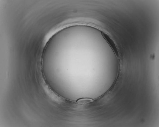 X0000112791530200909181502