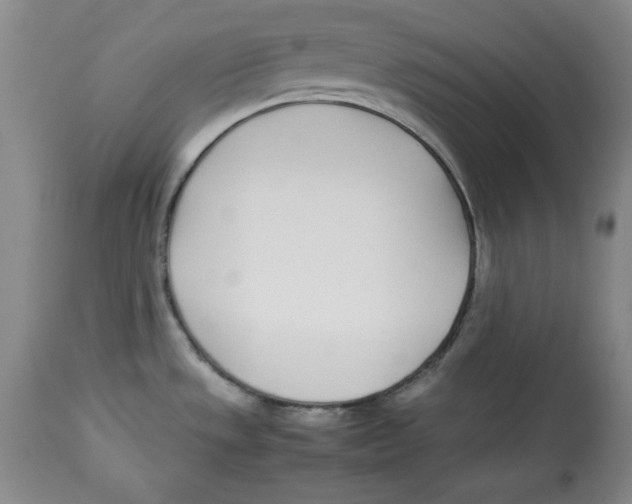 X0000112791533200909181502