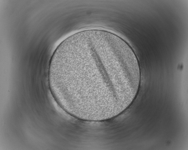 X0000112791534200909181502