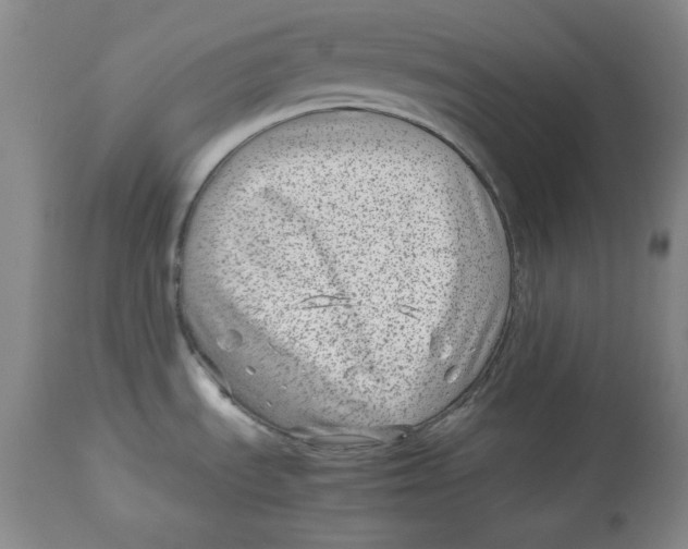 X0000112791535200909181502